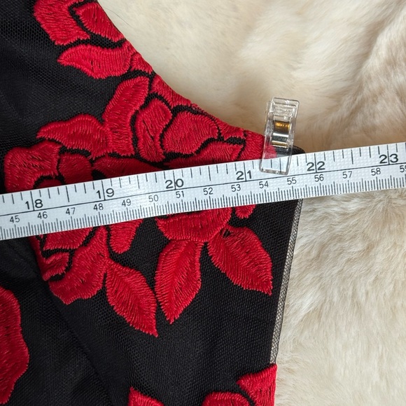 Embroidered Red Roses Dress - Picture 9 of 11